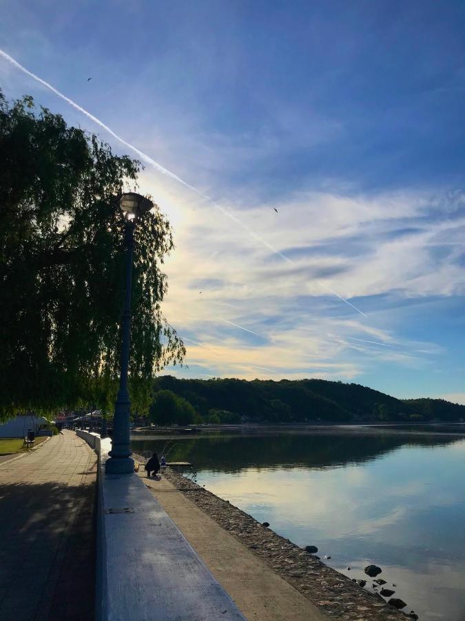 Soba Milojkovic Daire Golubac Dış mekan fotoğraf