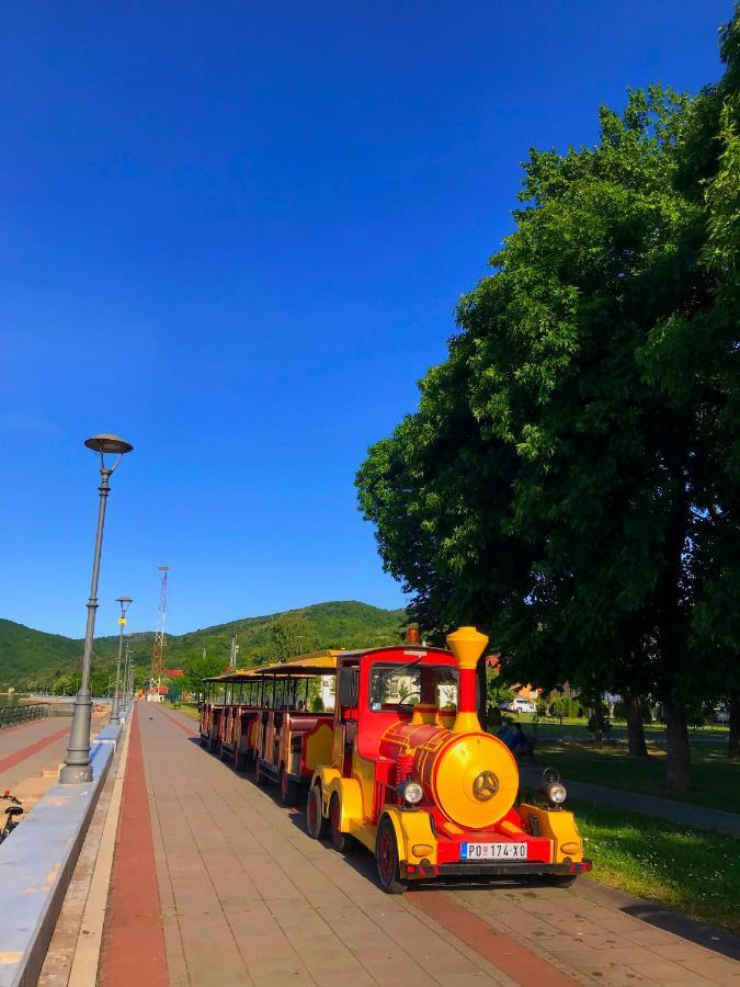 Soba Milojkovic Daire Golubac Dış mekan fotoğraf